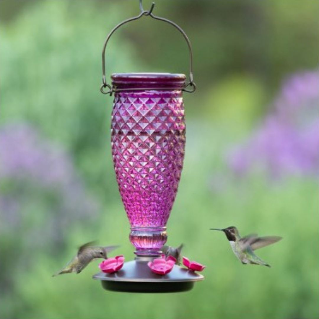Diamond Top-Fill Glass Hummingbird Feeder – Perky Pet® – Wine – 24 oz